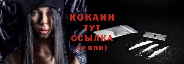 твердый Карпинск