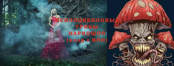 твердый Карпинск
