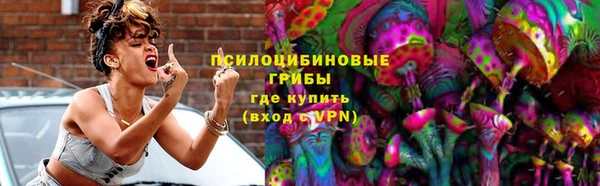 мдпв Каменка